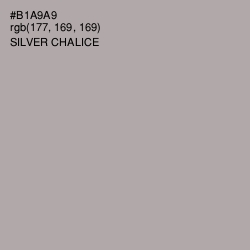 #B1A9A9 - Silver Chalice Color Image